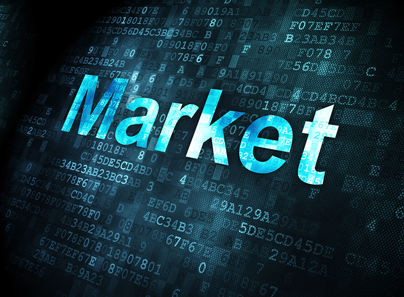 Niche Market Coverage and Flexible Sales Strategy